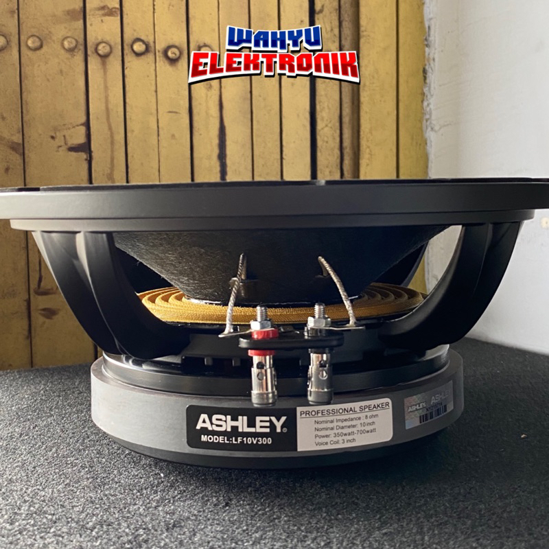 Speaker Ashley 10v300