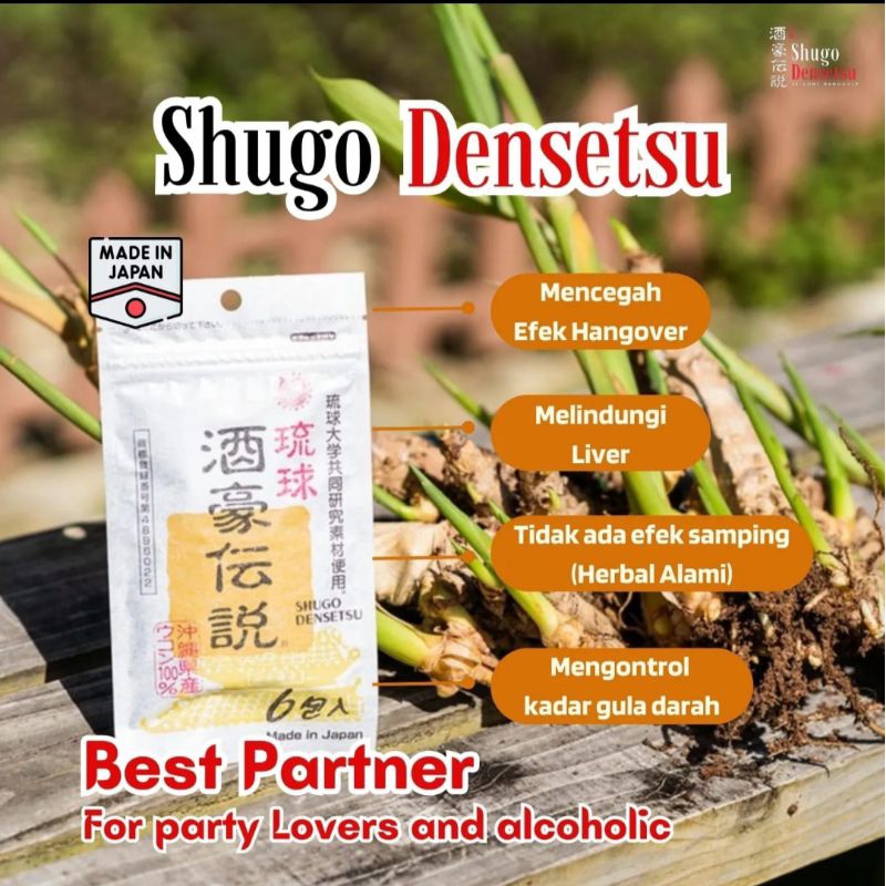Pil Herbal Anti Hangover "ShugoDensetsu" Protek Liver -