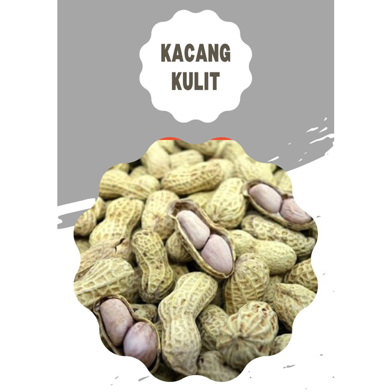 

kacang kulit