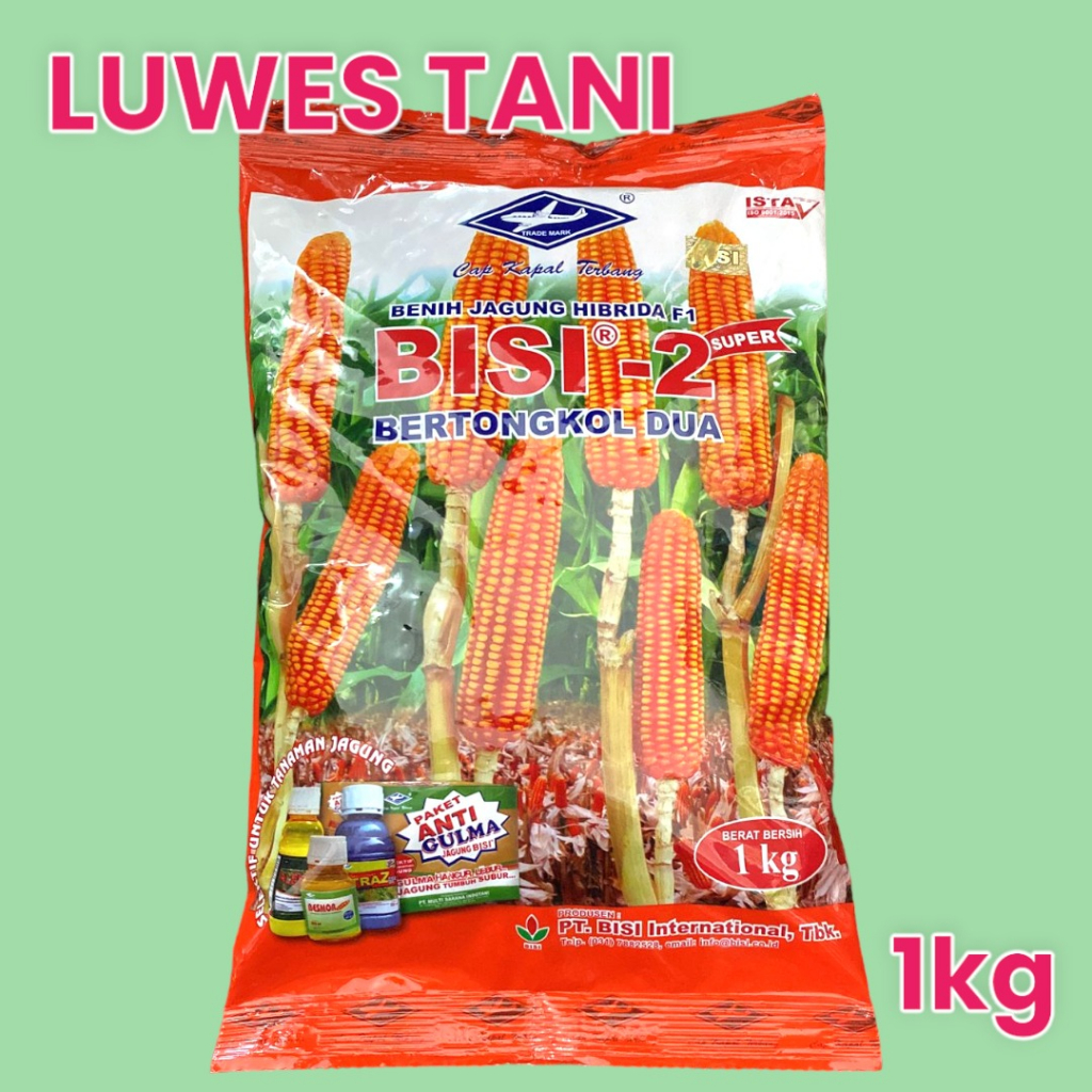 Bibit jagung Bisi - 2 1kg bertongkol 2 kapal terbang