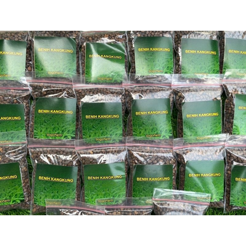 BENIH KANGKUNG SUPER 300 BENIH | SAYUR KANGKUNG | 100% KANGKUNG SUPER