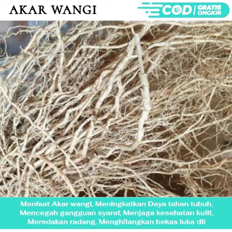 

RL Akar wangi super 1kg