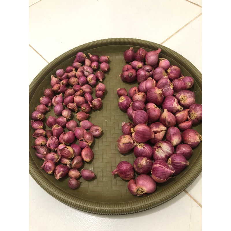 

bawang merah 1/2 kg