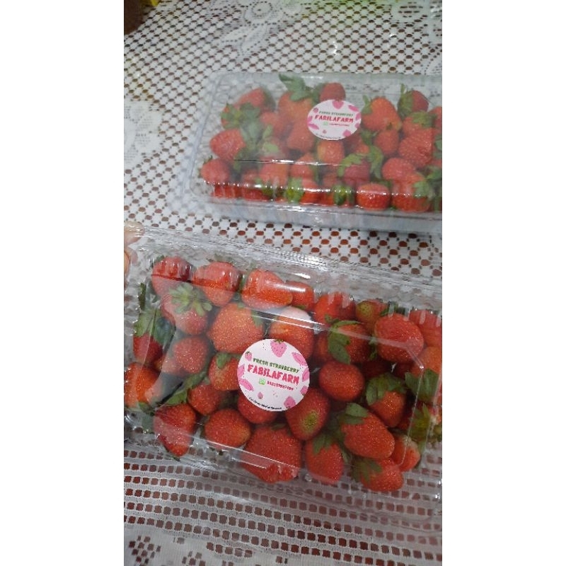 

1kg - Fresh Strawberry
