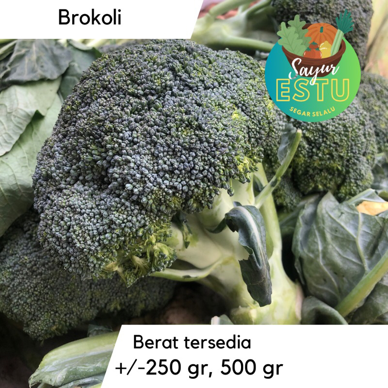 

Brokoli -/+ 250 gr [GRATIS ONGKIR]