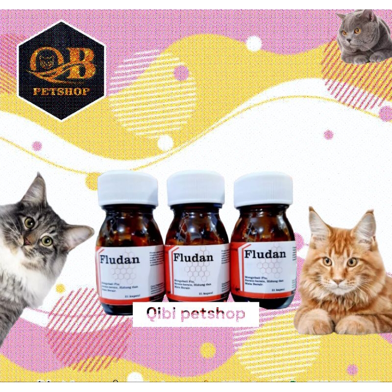fludan obat Flu kucing