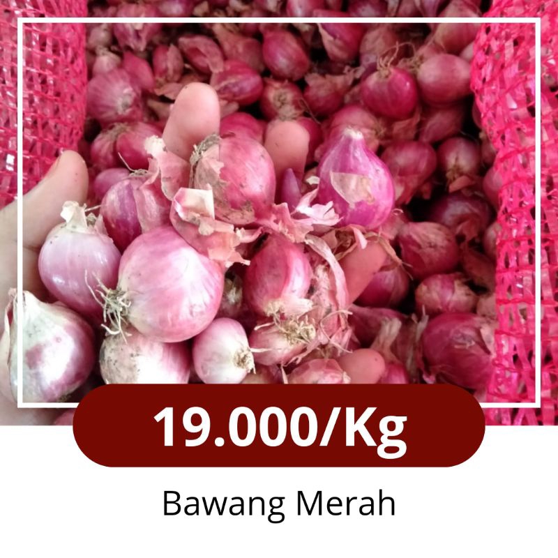 

Bawang Merah 1kg Fresh