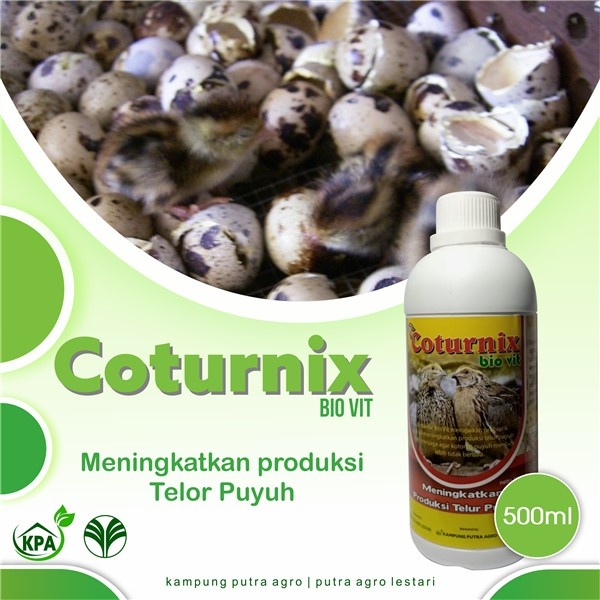 Obat Untuk Meningkatkan Produksi Telur Puyuh - Suplemen Terbaik Puyuh - COTURNIX BIO VIT 500ml