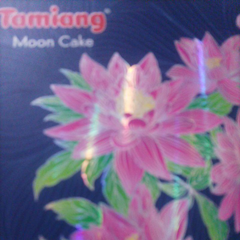 

kue bulan moon cake tamiang kacang hijau