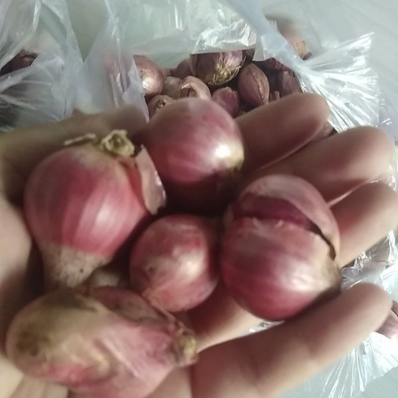 

bawang merah 900g