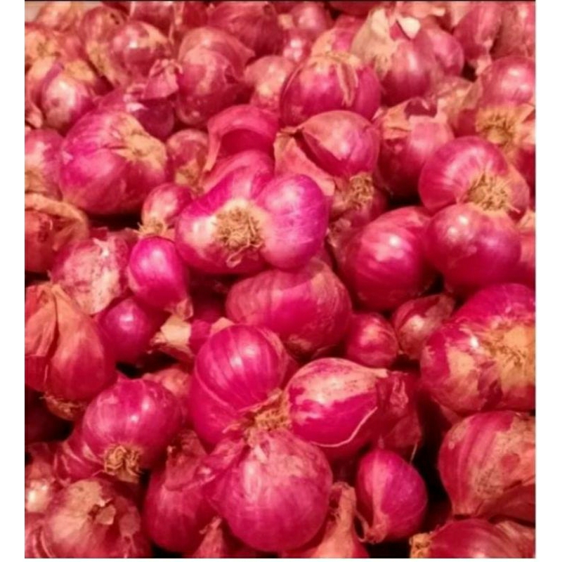 

bawang merah 1kg