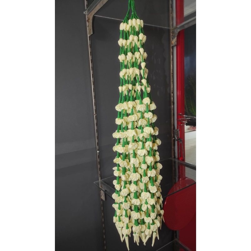 melati jurai palsu mekar