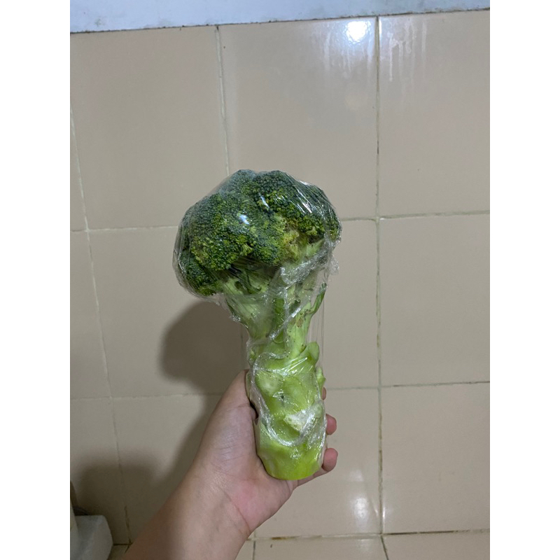 

brokoli segar
