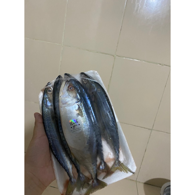 

ikan kembung banjar
