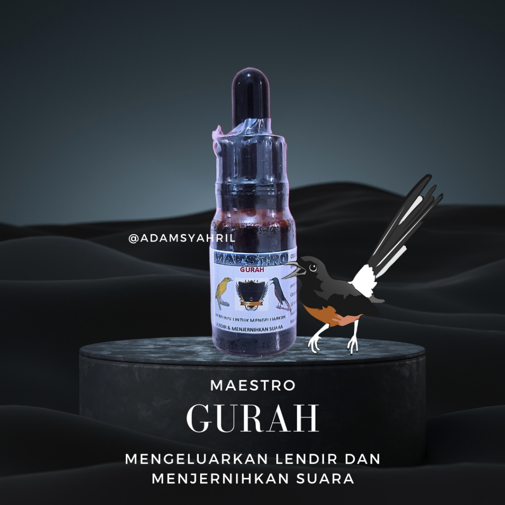 MAESTRO GURAH / MAESTRO PENJERNIH SUARA BURUNG