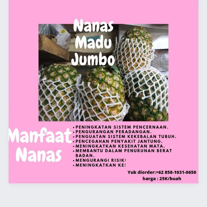 

Nanas Madu Jumbo