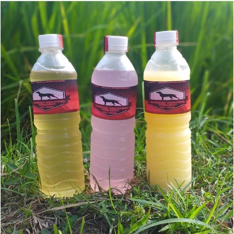 

minuman rasa rasa bali karangasem
