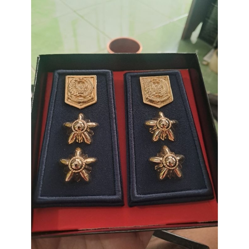 pangkat lurah logo kemendegri dasar kain biru