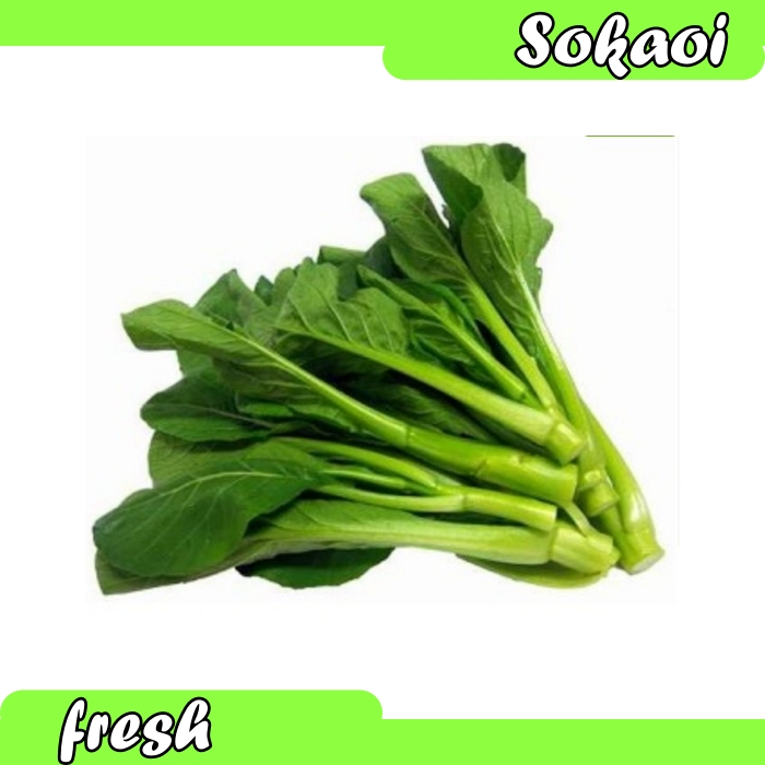 

DAUN KAILAN CHINESE BROKOLI