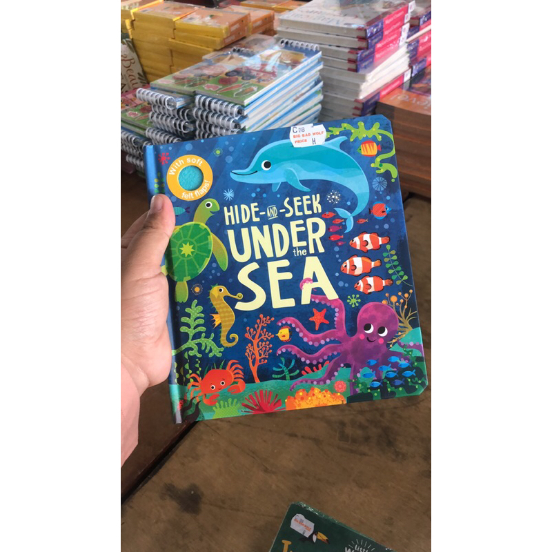[SALE BBW BOOK] Hide and Seek Under The sea, Dot To dot, The song of Dino, First atlas, My Grocery s