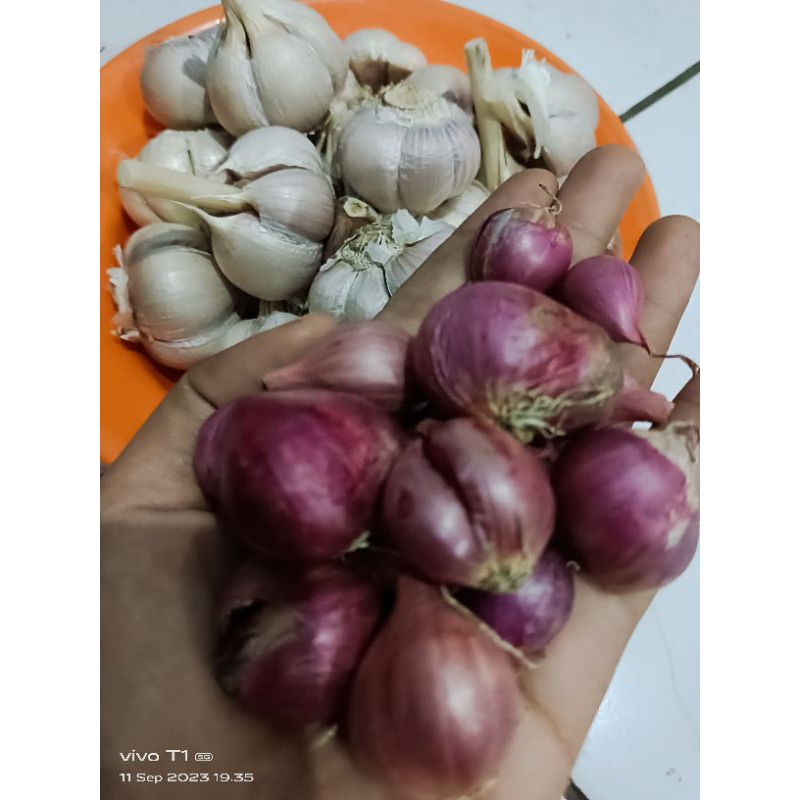 

Bawang merah 1kg