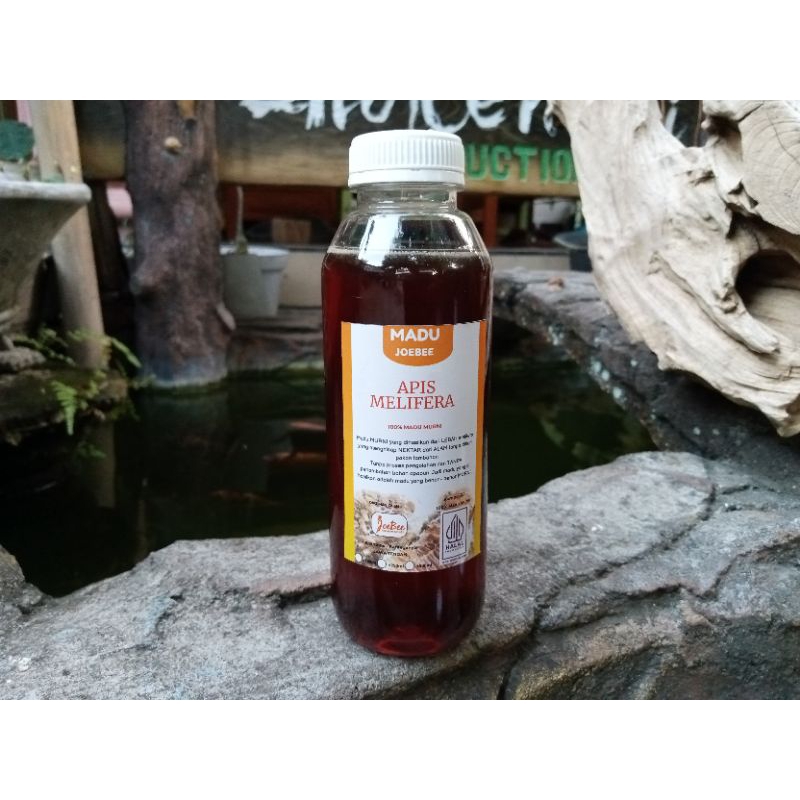 

Madu murni Lebah apis melifera 250ml