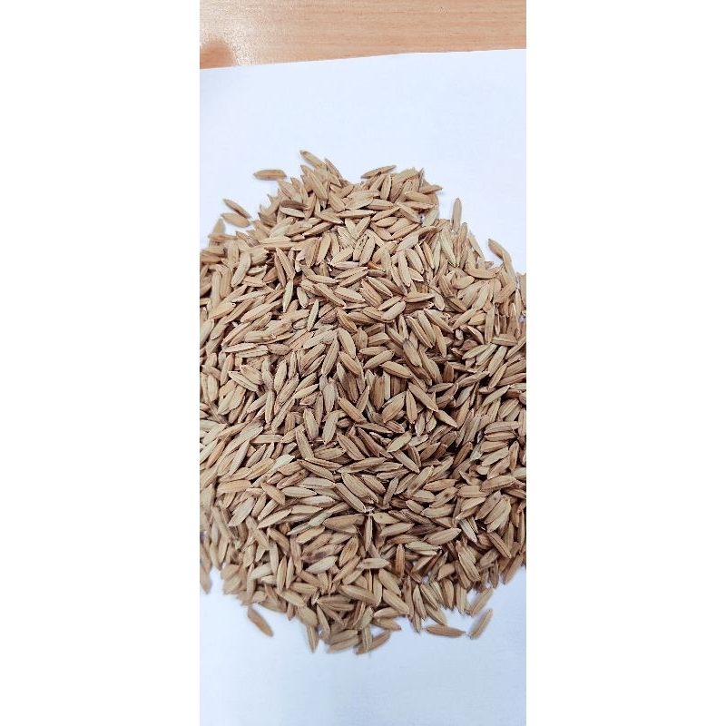 GABAH BERAS MERAH SPECIAL 1KG