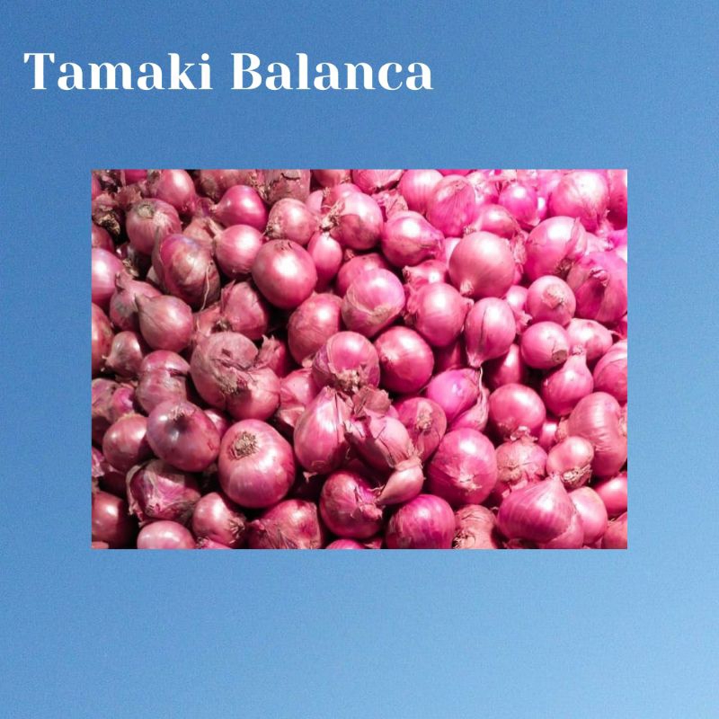 

Bawang Merah
