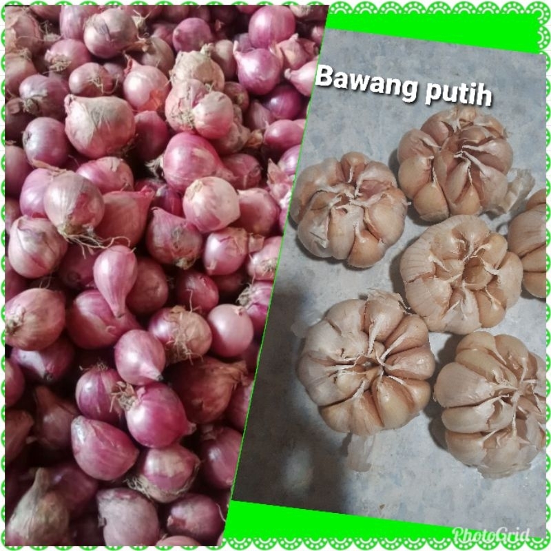 

Bawang Merah dan Bawang Putih