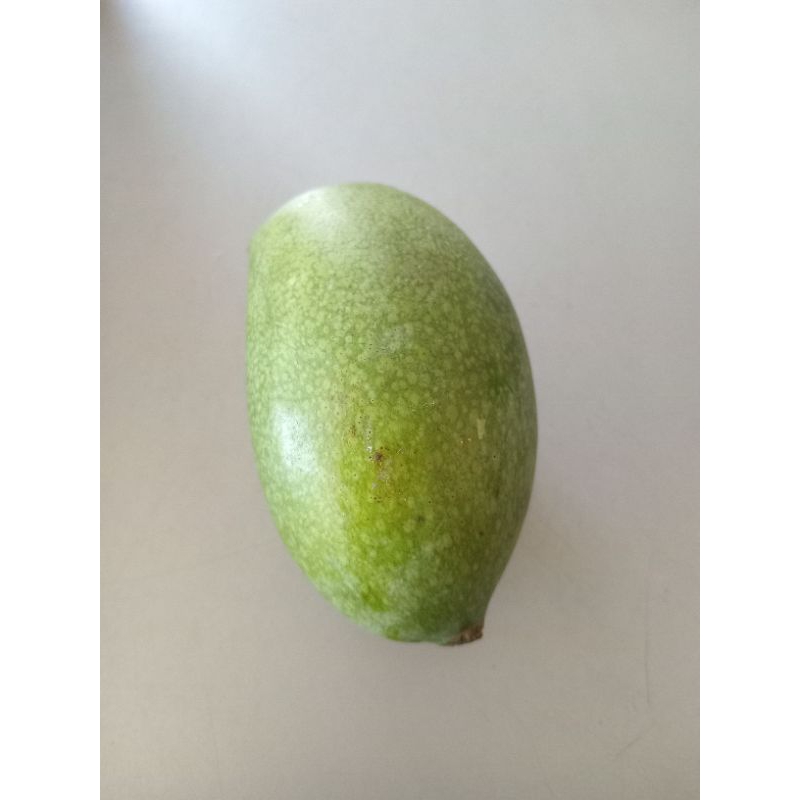 

MANGGA