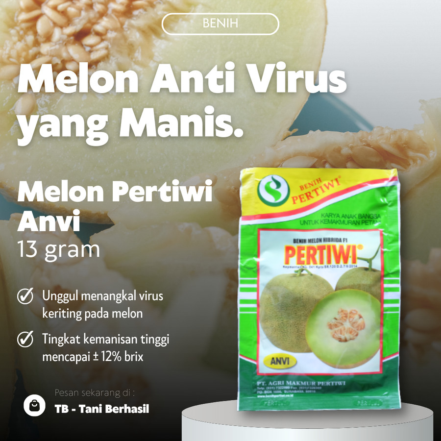 Benih Melon Pertiwi Anvi 13 gram, Melon Manis Anti Virus Keriting