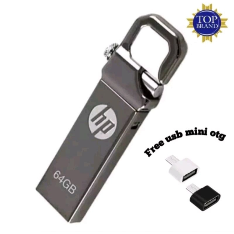 FLASHDISK HP 256GB