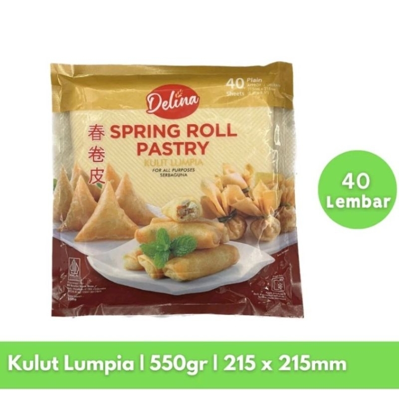 

DELINA SPRING ROLL PASTRY KULIT LUMPIA 215X215 MM ISI 40 LEMBAR ukuran 125 mm x 50 lembar