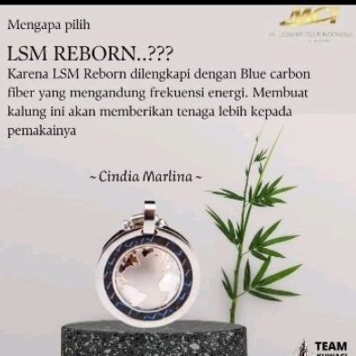 LSM rebornd MCI
