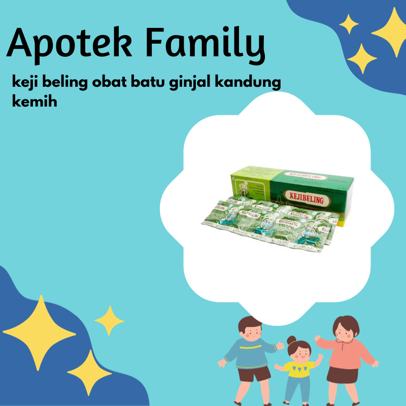 keji beling obat batu ginjal kandung kemih