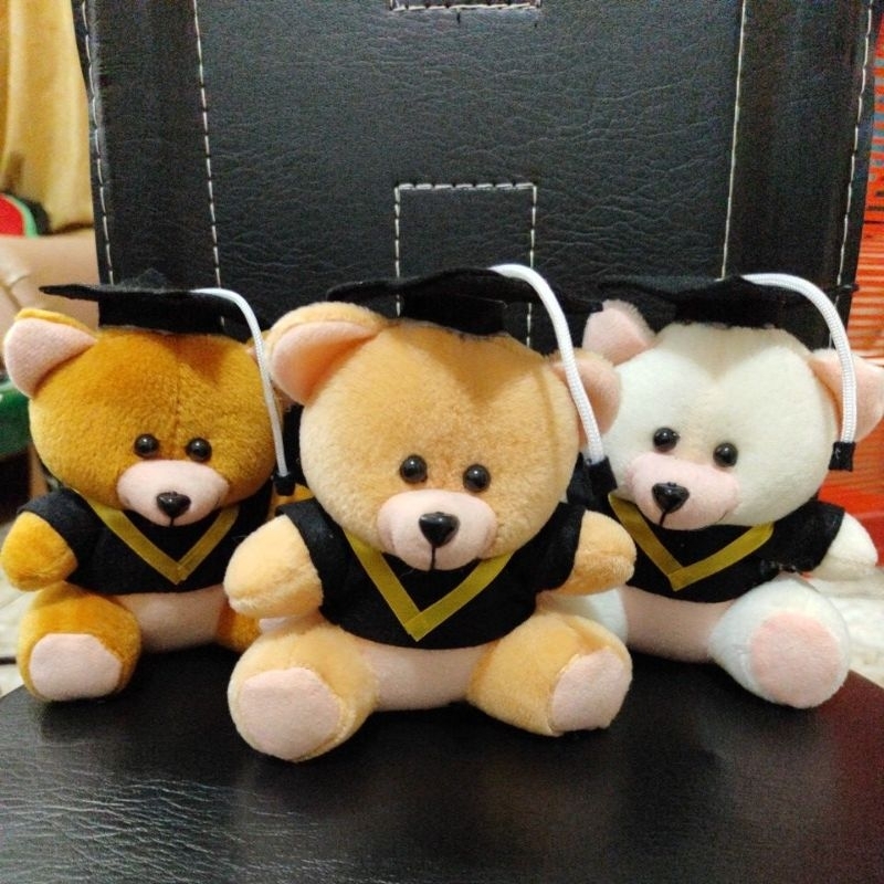 Boneka Wisuda Mini Boneka Wisuda Bear Mini Boneka Bear Wisuda Boneka Teddy Bear Wisuda Mini Boneka T