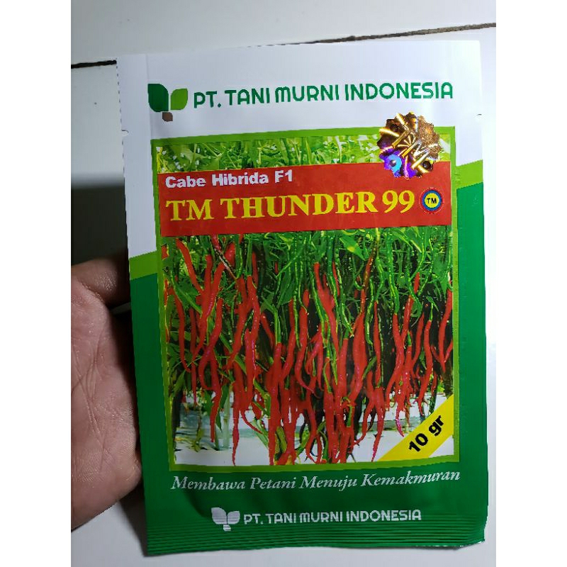 benih bibit cabe keriting terbaik TM THUNDER 99 isi benih 10ģram benih murni