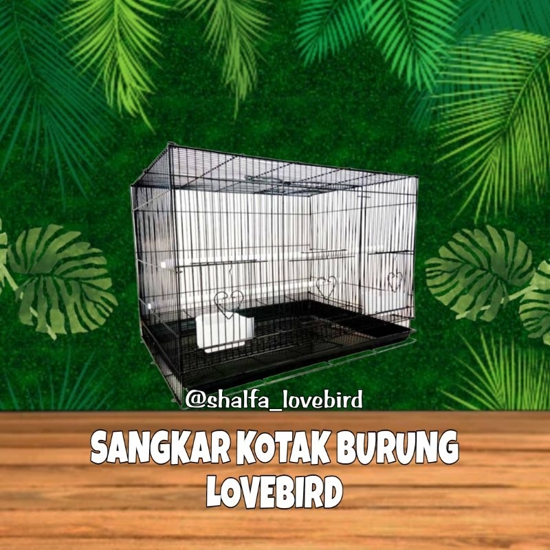KANDANG KOTAK BESI LOVEBIRD