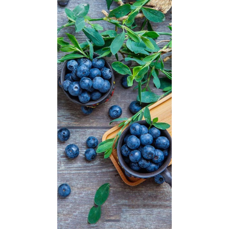 

BLUBERRY PACK
