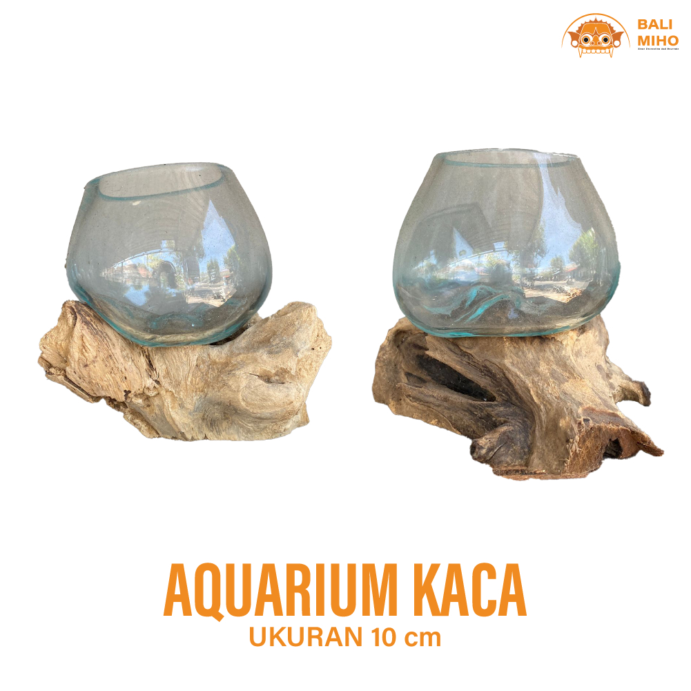 Aquarium Kaca Tiup 10 cm - Aquarium Kaca kayu - Pot bunga Kaca Kayu - Glass On Wood - Tempat Ikan - 