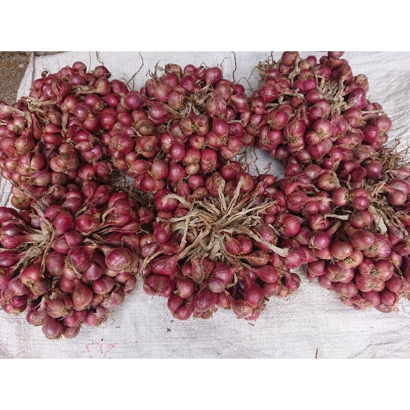 

Bawang Merah Sayur Bumbu Kering Asli Dari Petani