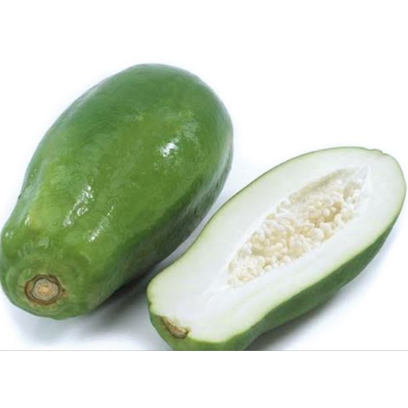 

PEPAYA MUDA SAYUR 1 BUAH
