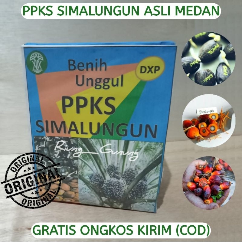 BIBIT UNGGUL SIMALUNGUN PRODUK ASLI MEDAN BIBIT KECAMBAH SIMALUNGUN TERLARIS NO SATU