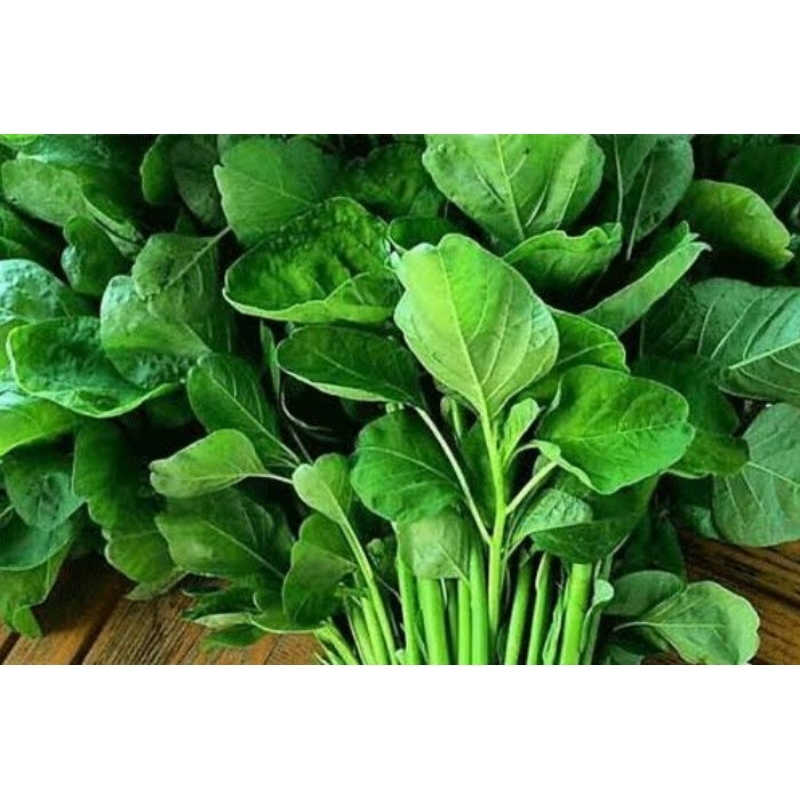 

SAYUR BAYAM SEGARR (750 GRAM)