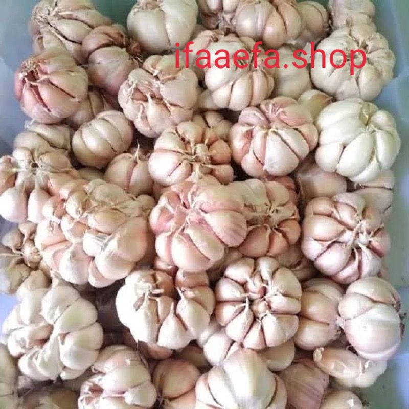 

Bawang Putih Super Segar Murah 500gr