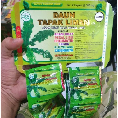 

ORIGINAL DAUN TAPAK LIMAN / KAPSUL DAUN TAPAK LIMAN ORIGINAL/JAMU HERBAL ASAM URAT AMPUH@20 SACHET
