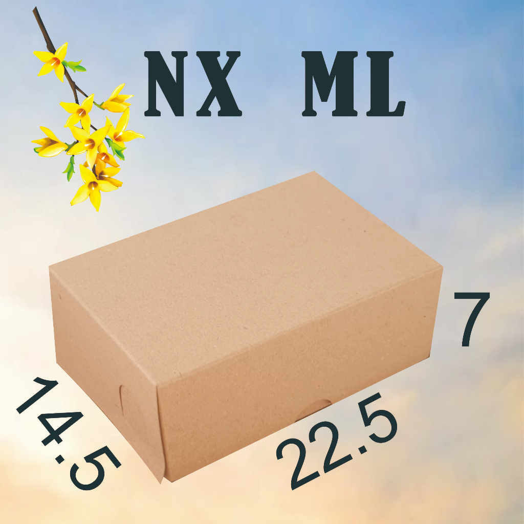 

NX ML 310 isi 100 dos kraft 14,5 x 22,5 kotak makanan nasi kue dos hampers