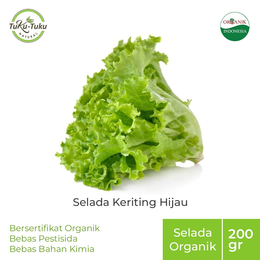 

Pay 2 Get 3 Selada Keriting Hijau Organik BSP FARM 200GR