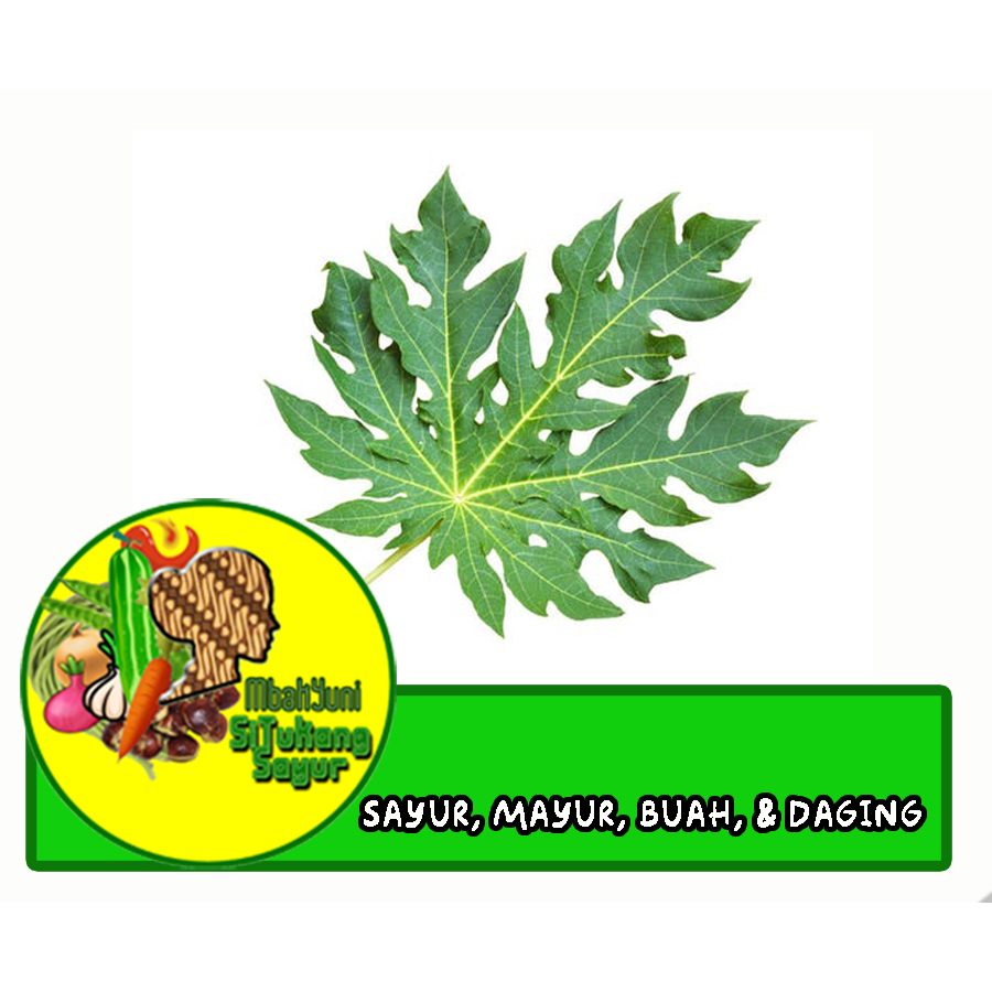 

Daun Pepaya