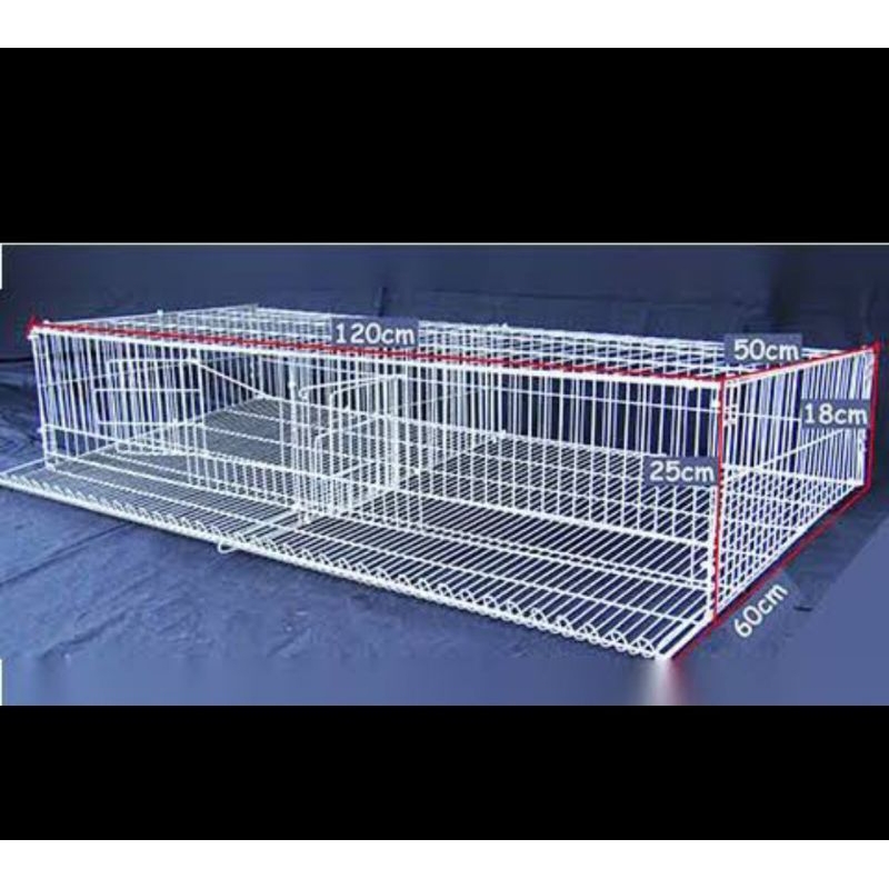 KANDANG BURUNG PUYUH GALVANIS